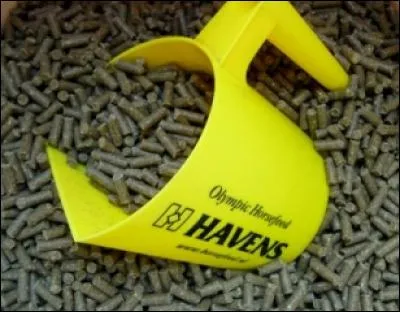 1. Les céréales utilisées pour nourrir les chevaux sont l'avoine, l'orge et...