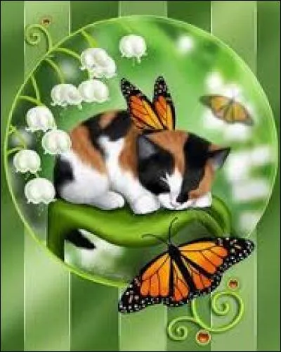 Appareil qui mesure la dureté des matériaux :