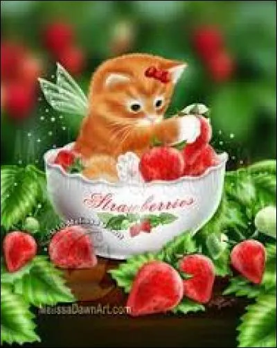 En Russie, chariot d'osier, léger et découvert, transformable en traîneau, l'hiver :