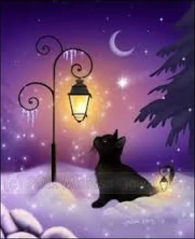 Petit appareil permettant d'obtenir une flamme :