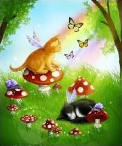 Fine lanière fixée à la chaussure, qui passe sur le dessus du pied ou derrière le talon :