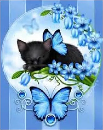 Familièrement, petite chose sans valeur :