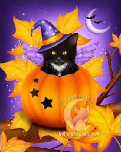 Cheval attelé à côté d'un cheval brancardier :