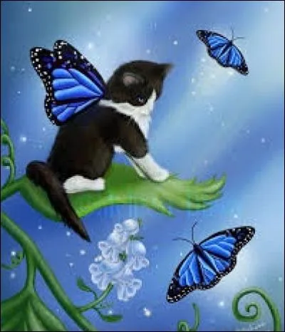 Se goinfrer, s'empiffrer :