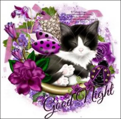 Viennoiserie à pâte levée :