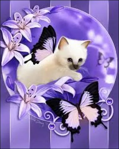 Réparer ou construire avec des moyens de fortune :