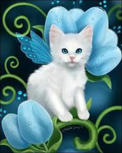 Nom du samoussa, beignet farci, au Maroc :