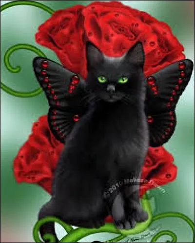 Familièrement, bricoleur :