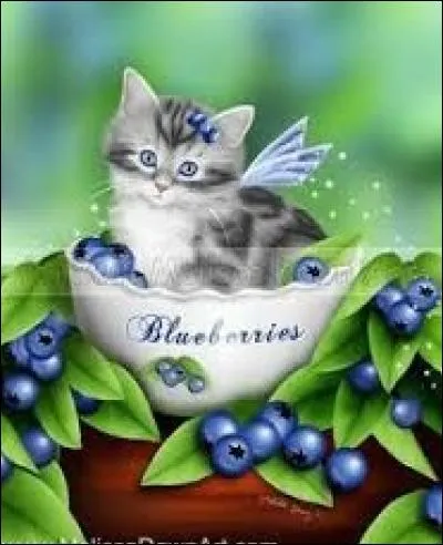 Informer par un bref exposé :