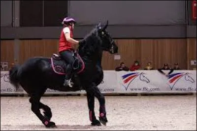 Un cheval qui montre le blanc des yeux et respire très fort, signifie :