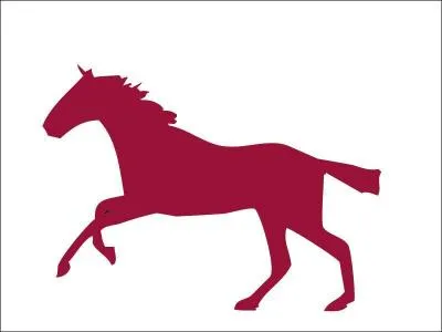 Au galop, quelles sont les deux positions que l'on peut avoir ?