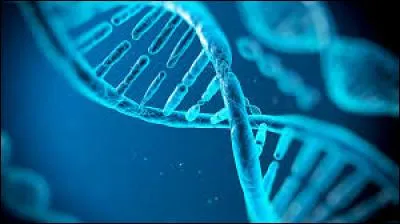 Les humains partagent 50 % de leur ADN avec les... !