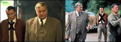 Dans le roman « Maigret », le commissaire est à la retraite. Son neveu, inspecteur à la PJ, est dans une mauvaise situation, il est soupçonné de meurtre. Bien sur, son oncle de commissaire va l'aider et va l'innocenter et faire arrêter le vrai coupable.
Comment se nomme le neveu de Maigret ?