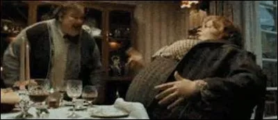 Comment s'appelle la sur du père Dursley ?
