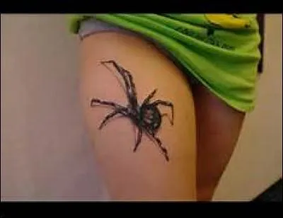 Comment dit-on "araignée" en anglais ?