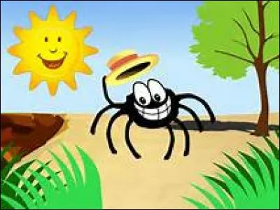 Quelle taille fait la plus grande araignée du monde ?