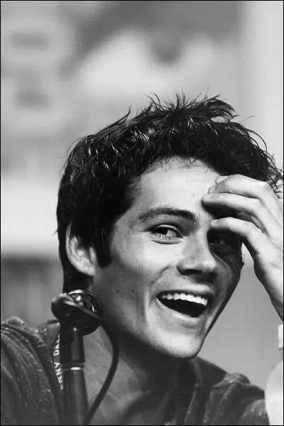 Pour finir, comment appelle-t-on la communauté des fans de Dylan ?