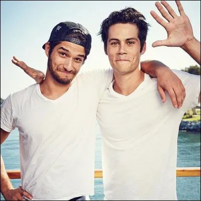 Pour finir, comment appelle-t-on l'amitié entre Tyler et Dylan ?