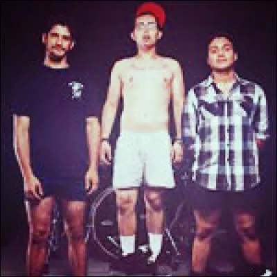 Comment s'appelle le groupe dans lequel il est ? Et que fait-il dedans ?