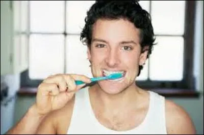 Pourquoi les hommes ressemblent-ils aux brosses à dents ?