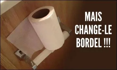 Combien d'hommes faut-il pour changer un rouleau de papier cul ?