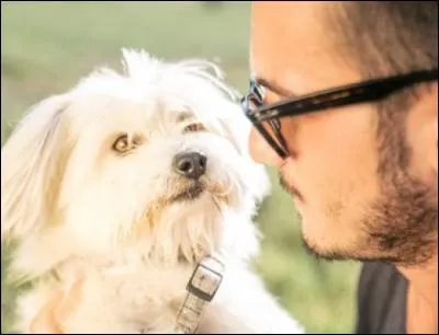 Qu'est-ce qu'un homme et un chien ont en commun ?