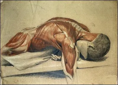 Qui est ce géant tué par Athéna qui l'écorcha et se servit de sa peau comme bouclier ?