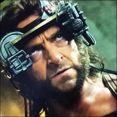 Que fait Jean Grey pour calmer Wolverine ?