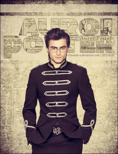 Quel métier Harry voudrait-il faire plus tard ?