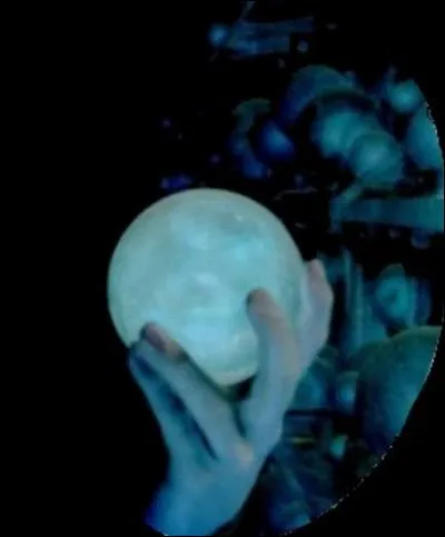 La prophétie aurait pu concerner :