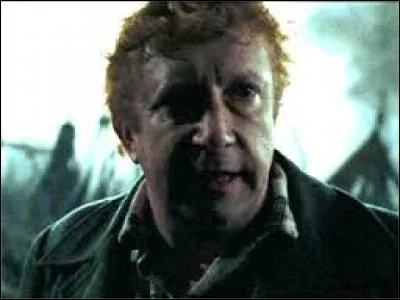 Par quoi Mr Weasley a-t-il été attaqué alors qu'il était en mission pour l'Ordre du Phénix ?