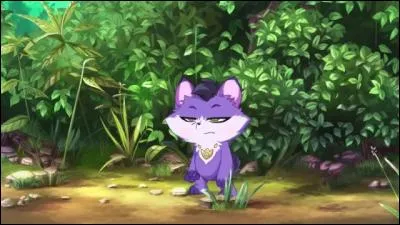 Amarou a peur des écureuils.