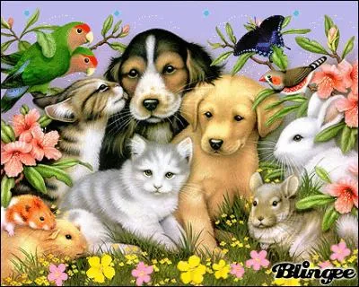 Peut-on voir un papillon sur cette photographie ?