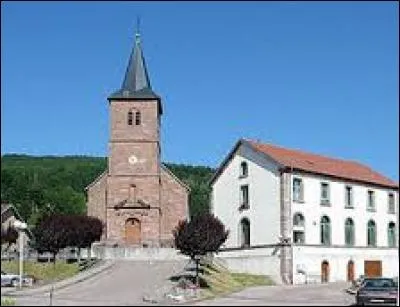 Je vous emmène en Lorraine, à Tendon. C'est un village de l'arrondissement d'Épinal, situé dans le département ...