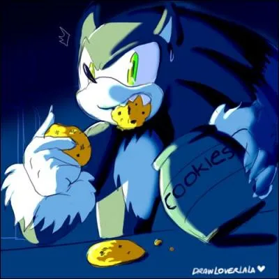 Quel est ce Sonic ?