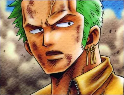 Pour qui Zoro a-t-il un faible ?
