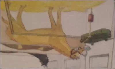 Quel est le nom de cette hébergement ?