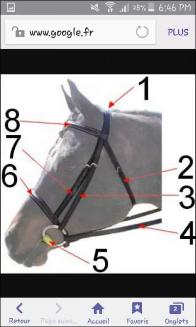 Quel est le nom du numéro 2 du filet ?