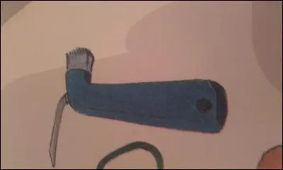 Comment s''appelle cette brosse?