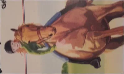 Quel est l'équipement obligatoire pour monter à cheval ?