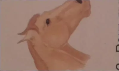 Ce cheval est-il énervé ?