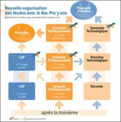Un peu de chiffres. Combien d'années font les bacheliers pro après le bac ?