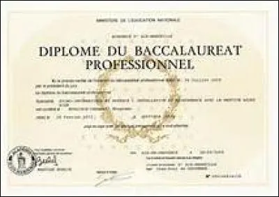Un peu de paperasse. En 2 ans d'études, que peut avoir un bachelier pro ?