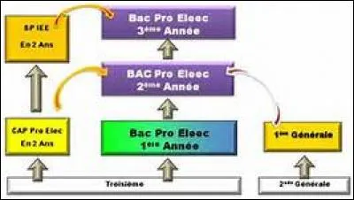 Causons de l'avenir. Si un bachelier pro obtient une mention Bien ou Très Bien à son bac, où est-il inscrit d'office ?