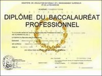 Où peut-on également trouver des BTS en 2 ans ?