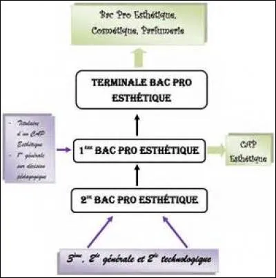 Quelles personnes retrouve-t-on surtout en pro ?