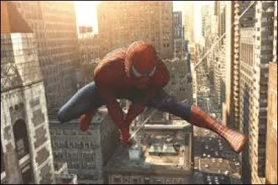Comment s'appelle la ville de Spider-Man?
