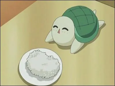 A qui est la tortue Kame San ?