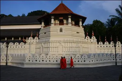 Un temple de la ville de Kandy abrite une relique sacrée pour les bouddhistes. Il s'agit :