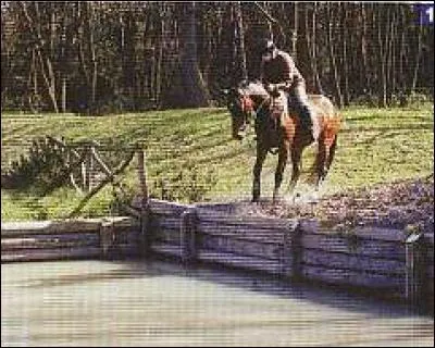 Quel est le nom de cet obstacle de cross ?